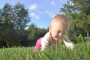 Jolie always loved the grass, now she loves crawling in it.