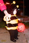The cutest bumble bee ever.