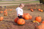 Jolie was very excited to see "Pun-kins" for the first time.