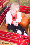 Jolie and a pumpkin