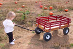 I asked Jolie if she'd pull me in the wagon but she said no.