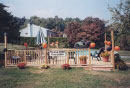 Cathy (Ketcher) Rowley's pool, decorated for the reunion