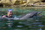 David getting a ride from Coral the Dolphin