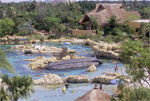 Overview of Discovery Cove