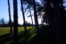 Why do the trees at Lake Ontelaunee lean away from the lake?