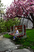 That Jolie under a beautiful tree near the Pagoda...and then hit with the "Watercolor" effect.