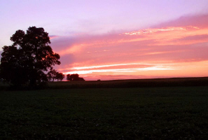 Blandon Sunset, July 2002