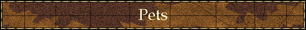 Pets