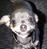 Galvin smiling!