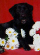 Kali, Shelly Rathman's black lab