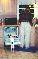 Spot loves helping with the dishes